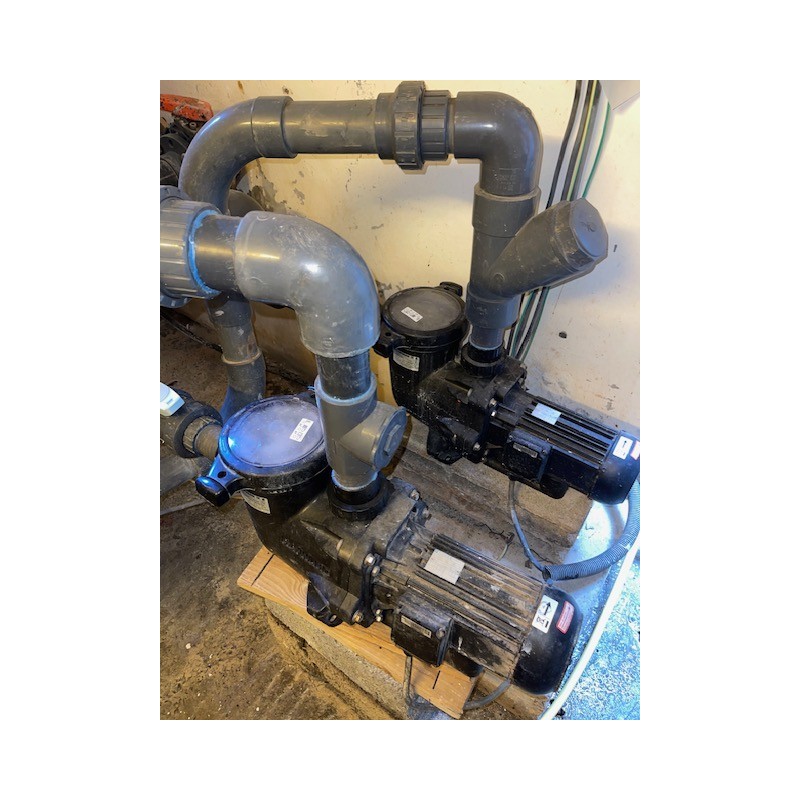 2 pompes HANNING Type: 8LLH2S5-050