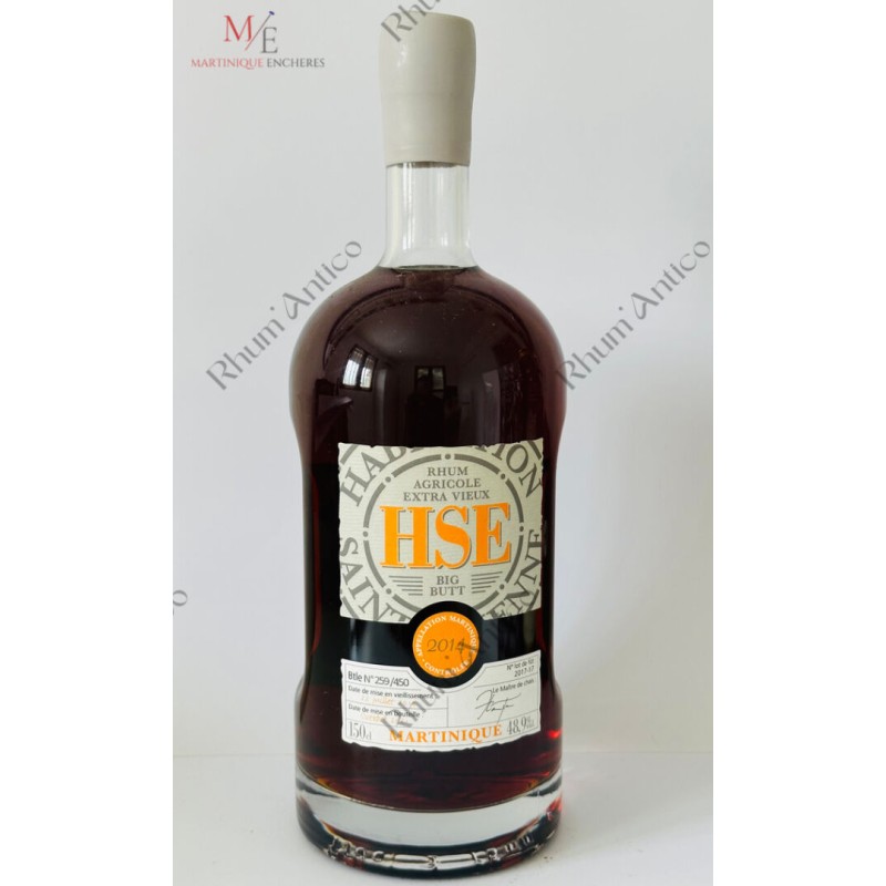 HSE (HABITATION SAINT-ETIENNE). BIG BUTT. 2014.