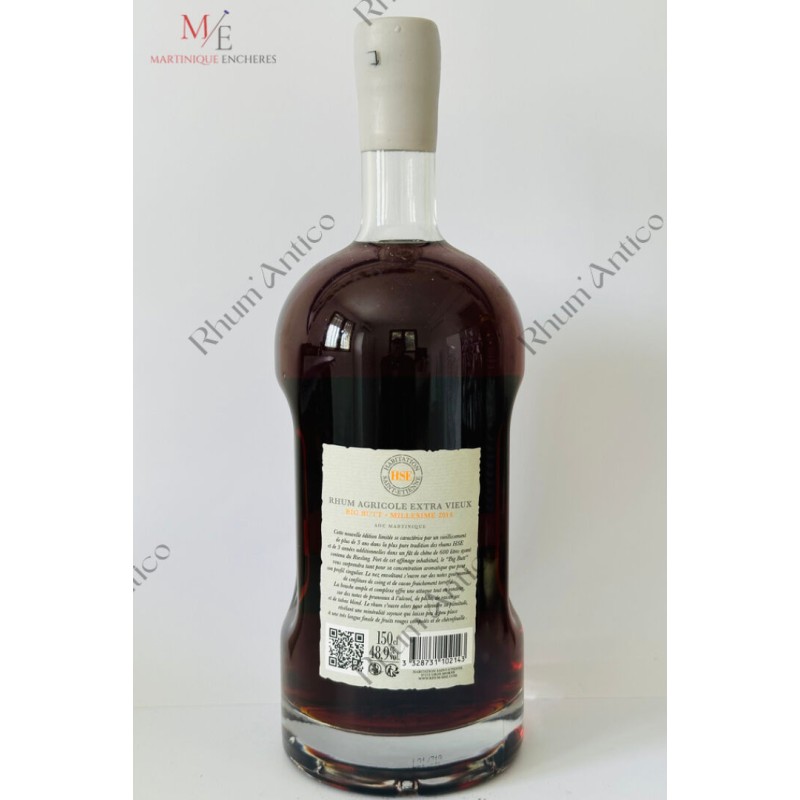 HSE (HABITATION SAINT-ETIENNE). BIG BUTT. 2014.