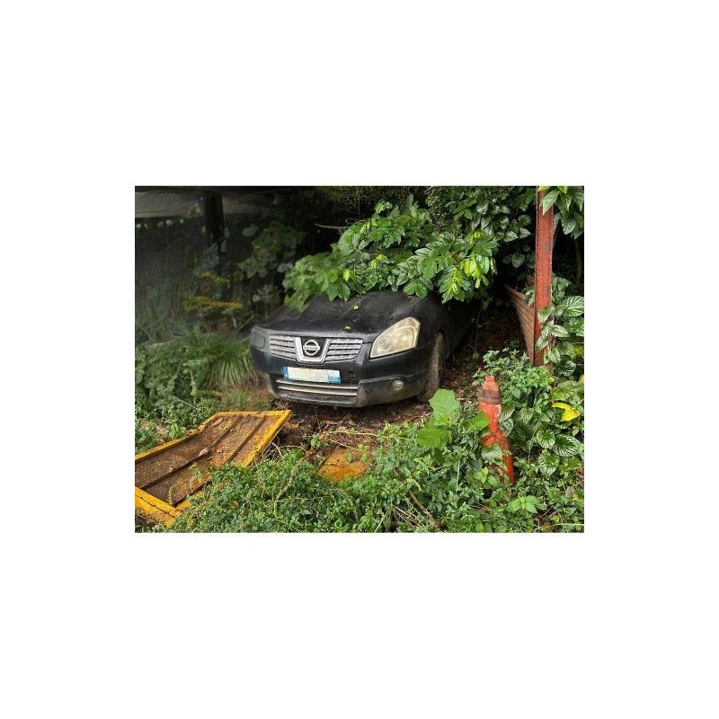 NISSAN QASHQAI 2007