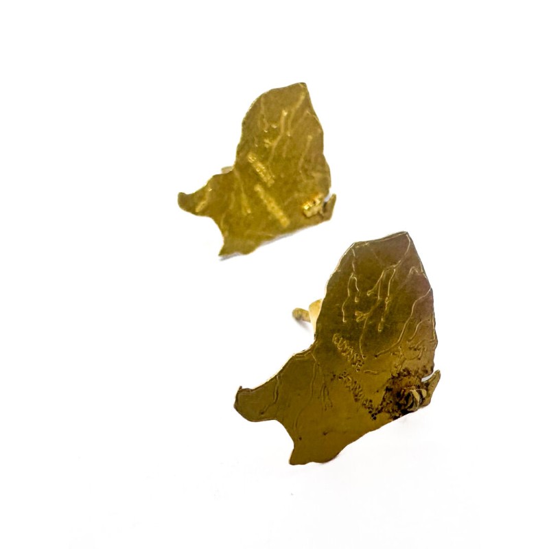 Paire de clous d'oreille GUYANE en or jaune 750 millièmes (18K). Poids : 1 g (manque une attache à l'un des fermoirs)