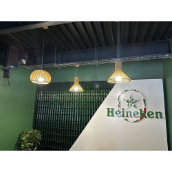 6 suspensions lumineuses