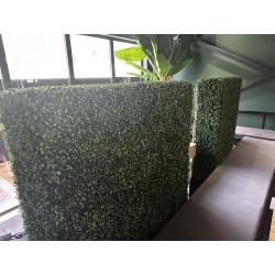 3 murs végétaux artificiels formant haies décoratives
