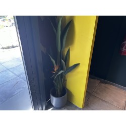 5 pots décoratifs et leurs plantes artificielles (balisier, bananier, palmier Bismarck...)