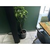 5 pots décoratifs et leurs plantes artificielles (balisier, bananier, palmier Bismarck...)