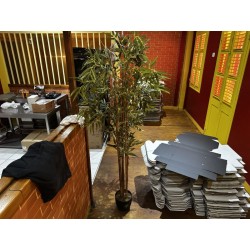 2 plantes artificielles dont 1 faux bambou