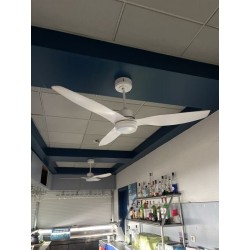 2 ventilateurs de plafond
