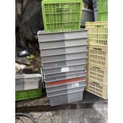 1 lot de 30 bacs