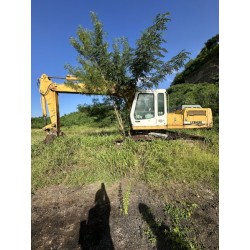 1 pelle sur chenilles LIEBHERR R 313 
Type DPV 0165
Id. n° 10123640
Numéro de série : 103305937401
Nombre d'heures non garanti :