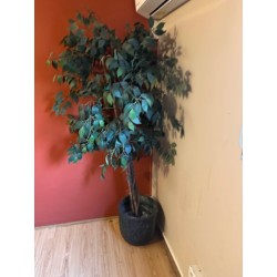 1 plante artificielle