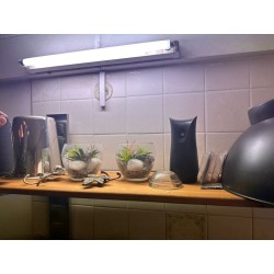 1 diffuseur
2 pots décoratifs