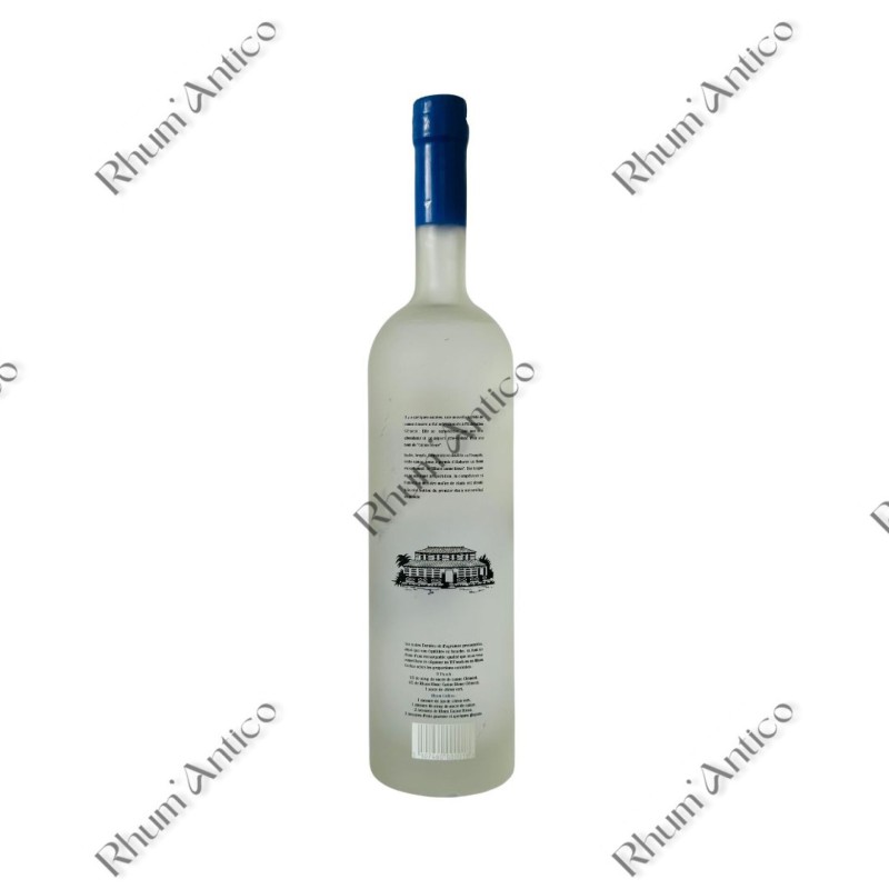 CLEMENT. CANNE BLEUE 2004.